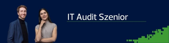 IT Audit Szenior